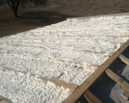 137274715_122746543008892_858244